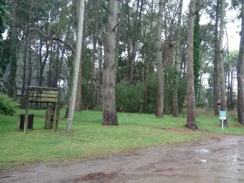 Terreno en Venta 15  mts Frente