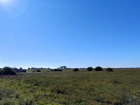 Ruta Provincial Nº42