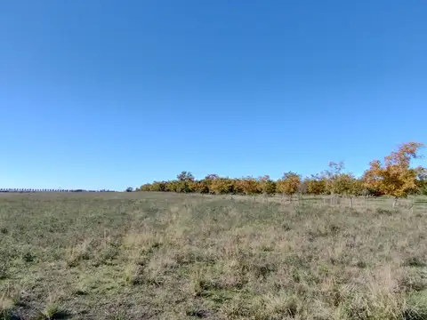 Campo en Venta con Alambrado