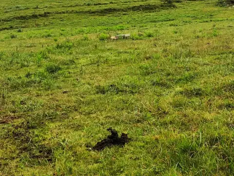 Chacra en Venta a 10 km de San Carlos por Ruta 9