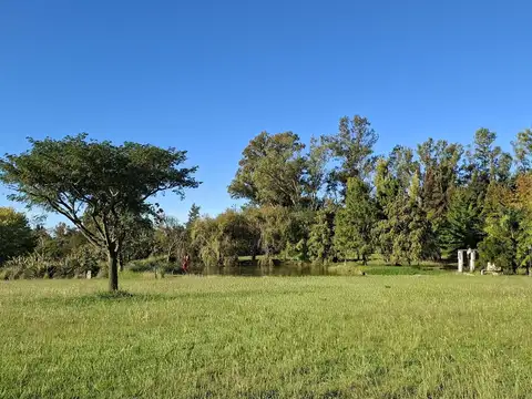 Ruta Provincial 193 - Zarate (a 12 km. de Capilla del Señor)