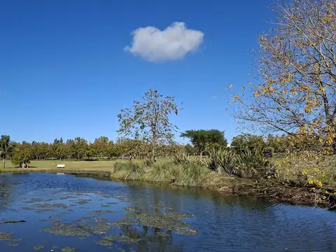Campo de 32 ha. con infraestructura ideal Club de Polo o Equitación a 14 km. de Capilla del Señor