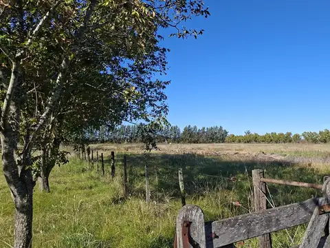 Campo de 32 ha. con infraestructura ideal Club de Polo o Equitación a 14 km. de Capilla del Señor