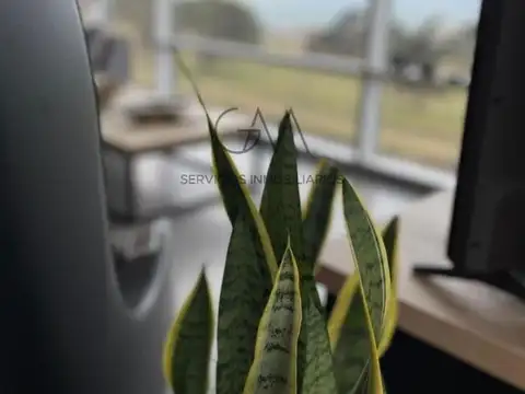 Departamento en Alquiler en Mar Del Plata, USD 2.200