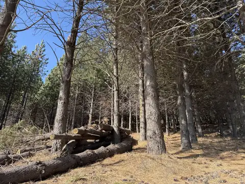 Venta terreno san martin de los andes. chapelco golf