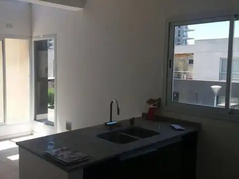 El Palmar 100