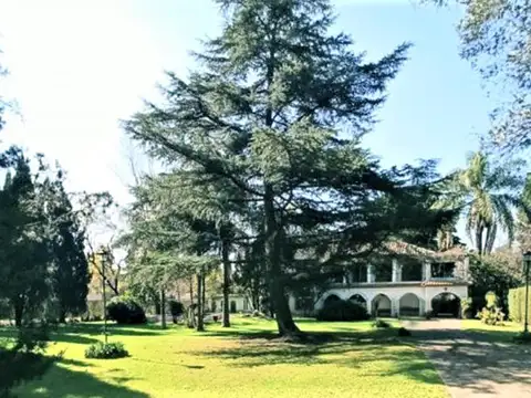 De La Media Caña 3800