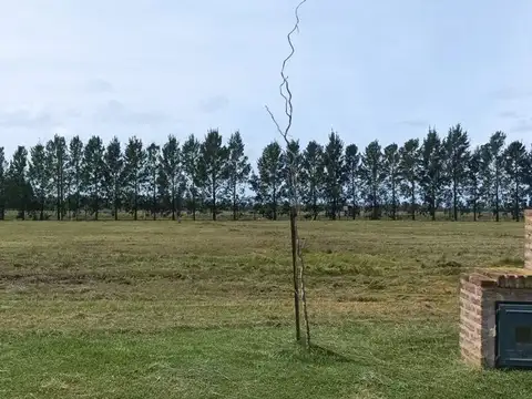 Ruta Provincial 2