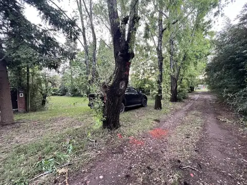 Terreno en Venta 31  mts Fondo