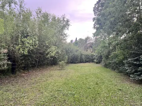 Terreno en Venta 31  mts Fondo