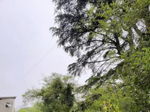 Terreno en Venta 37  mts Frente