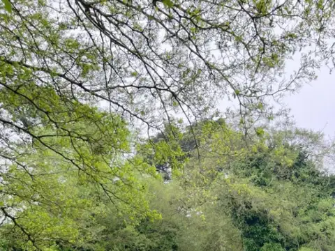 Terreno / Lote en venta de 784m2 ubicado en Sierra de los Padres