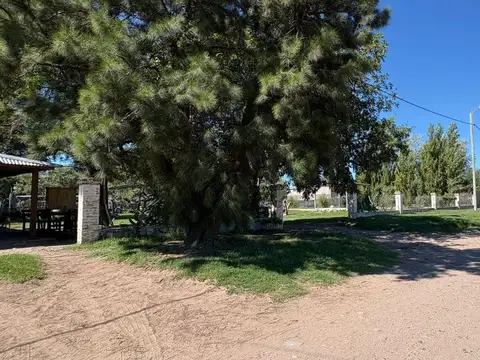 Quinta en Venta en General Pico, USD 140.000