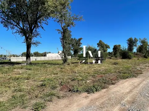 Ruta 7 2000