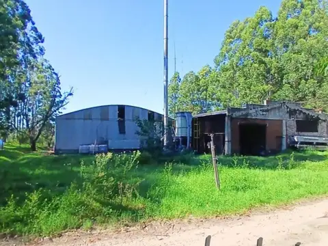 Campo forestal. estacion yequeri