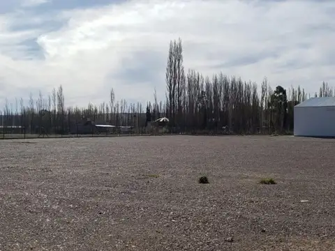 Galpon en Alquiler 100  mts Fondo