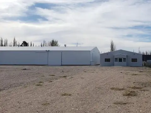 Galpon en Alquiler en Plottier, USD 12.500