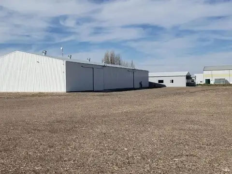 Galpon en Alquiler A Estrenar