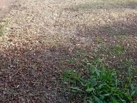 Terreno en Venta 20  mts Frente