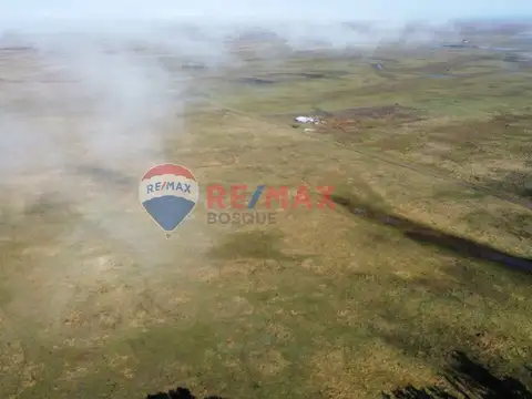 CAMPO VENTA SOBRE RUTA 11 GENERAL LAVALLE 392,6 HA