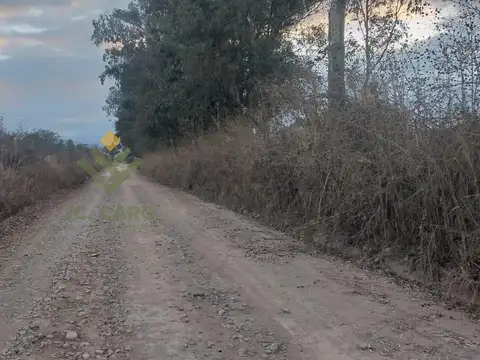 Camino a los Vallistos