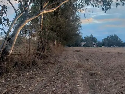 Camino a los Vallistos