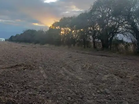 Camino a los Vallistos