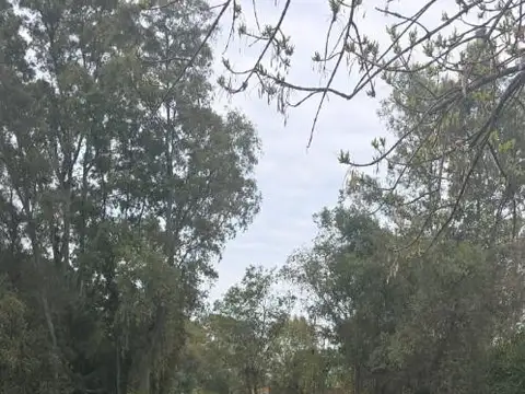 Terreno en Venta de 1875,0 m2