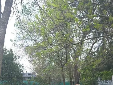 Lote en venta, Club de Campo El Moro, Marcos Paz. 