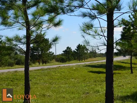 Excelente Lote En Loteo Azucena