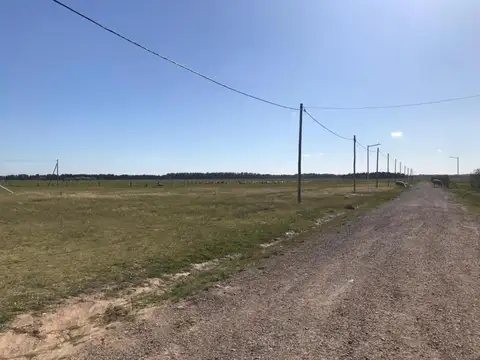 Ruta 6