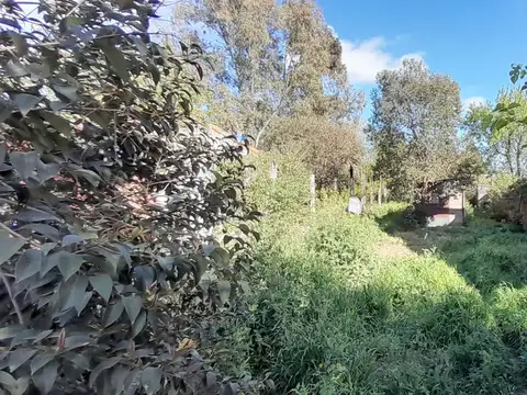 Terreno en Venta 10  mts Frente