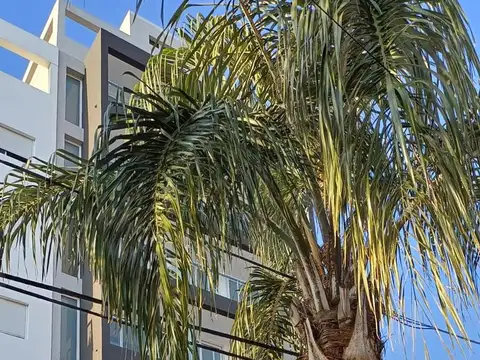 Departamento Semipiso  de Categoría, a Estrenar, 1 Dormitorio - La Plata.