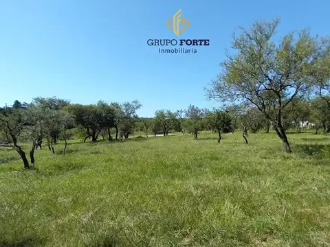 Terreno en Venta de 1200,0 m2