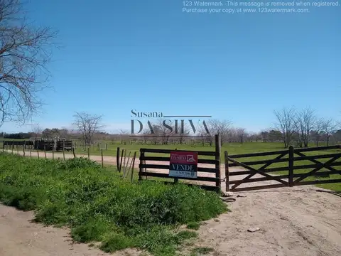 2 Hectáreas a 2km del centro de Marcos Paz