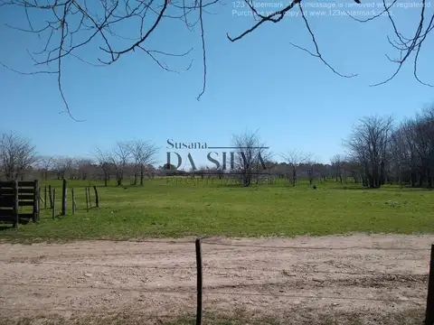 2 Hectáreas a 2km del centro de Marcos Paz