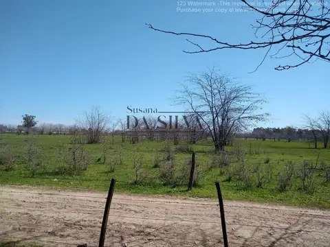 El Gaucho, Marcos Paz Rural