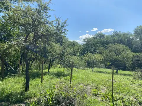 Terreno en Venta 50  mts Frente