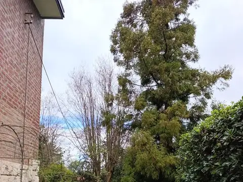 El Nevado al 1400