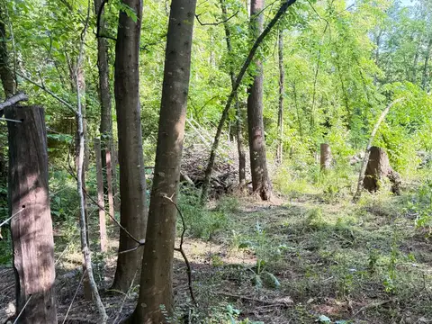 Magnífico terreno de 1947m2 que invita a soñar!