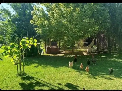 venta Casa en Monte Hoffmann