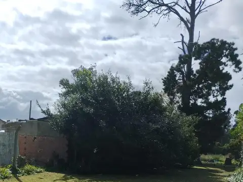 Terreno en Venta 29  mts Fondo