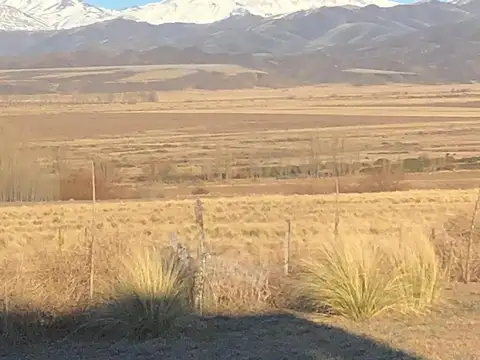 Terreno sobre Ruta 400. Zona Mina El Pachón. Barreal. San Juan