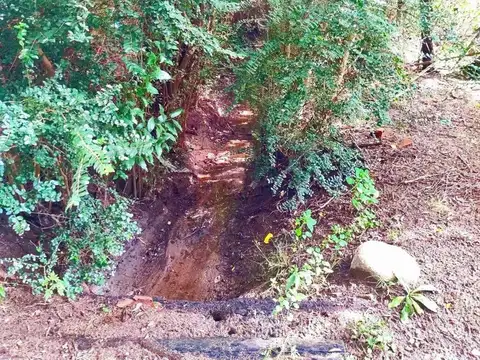 TERRENO 1 HA EN TRASLASIERRA LAS CALLES