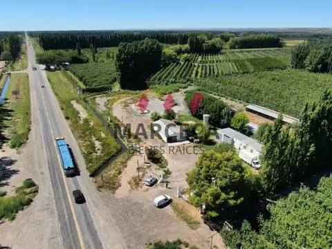 GalpÃ³n - Alquiler - Argentina, Allen - Ruta 22 kmt 