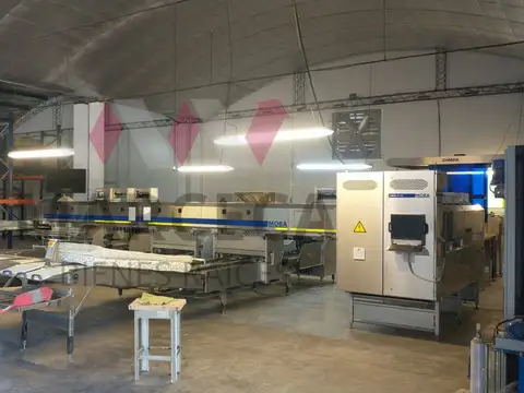 Galpon en Alquiler 340  mts Fondo