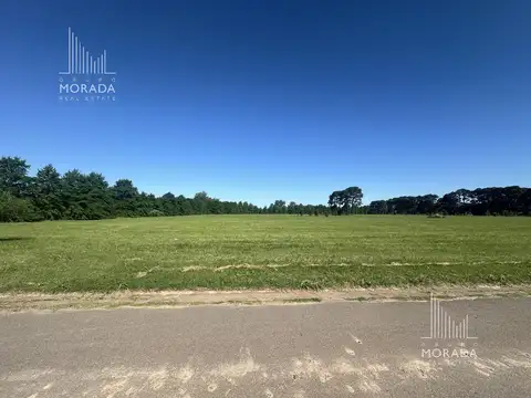 Terreno en Venta de 1619,0 m2