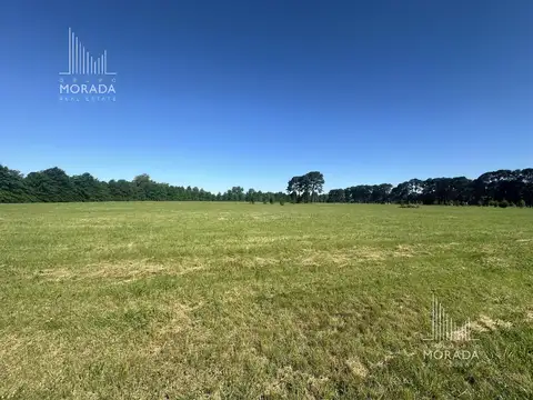 Terreno en Venta en Los Pinares Country Club, USD 38.000