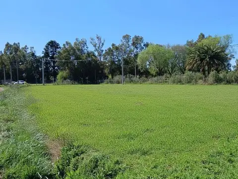 VENTA DE LOTES (SE ACEPTA ANTICIPO Y CUOTAS )