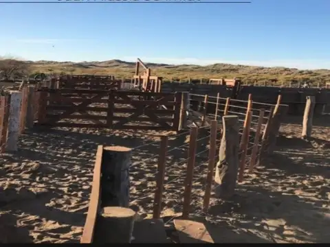 Campo - La Razon Santa Isabel